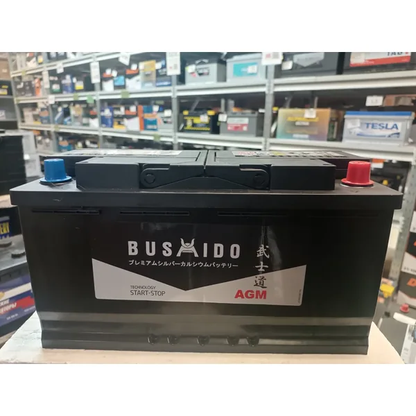 Аккумулятор BUSHIDO 100 Ач 900 А (EN), прямая полярность, LN5